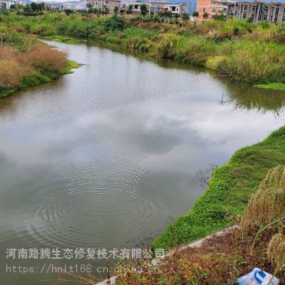 河南湖泊河道黑臭水体净化矿物凝聚剂