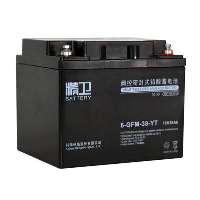 精卫蓄电池6-GFM-38-YT 12V38AH直流屏 配电柜 UPS/EPS电源