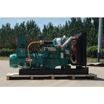三亚120KW棕榈丝气化发电机 垃圾热解气化发电工程