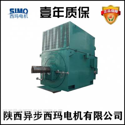 IP23防护等级 SIMO西玛Y系列 Y500-12 710KW 10KV高压三相异步电机