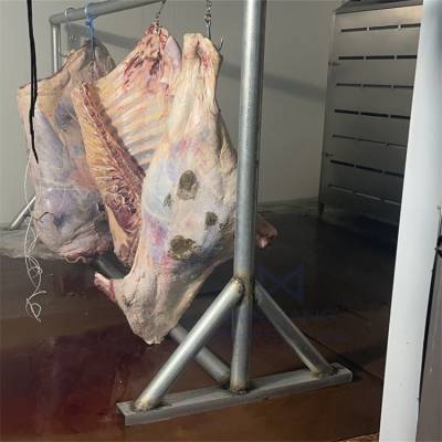 进口猪牛羊肉分体低温高湿解冻库 冻肉缓化设备