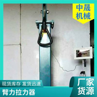 双人语音检力器 单人数显测力器 不锈钢材质臂力检测仪器厂