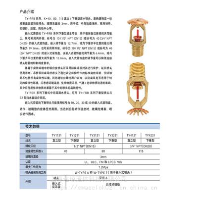 海固德HYGOOD FM200认证 气体灭火HFC-227ea柜式七氟丙烷现货 美国泰科TYCO