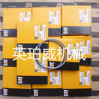 Perkins喷油嘴253-0616工程机械内燃机配件