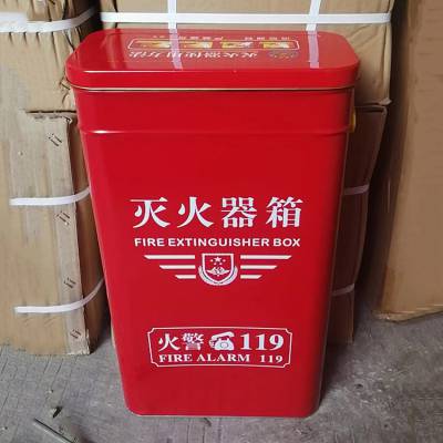 4kg*2新型灭火器箱子商场学校铁皮消防箱便携式消防器材放置箱雷力