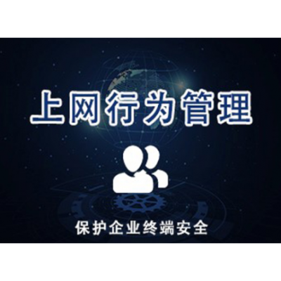 上海公司上网行为管控服务 欢迎来电 上海迅软信息供应