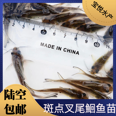 βt籨2021βŻ泡һֱ