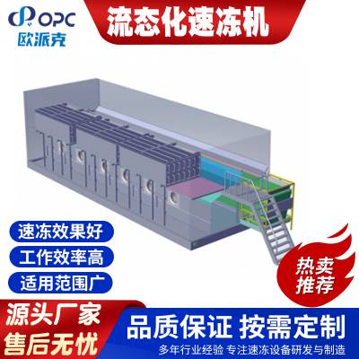 欧派克全自动花椰菜低温冷冻设备芒果流态化速冻机器