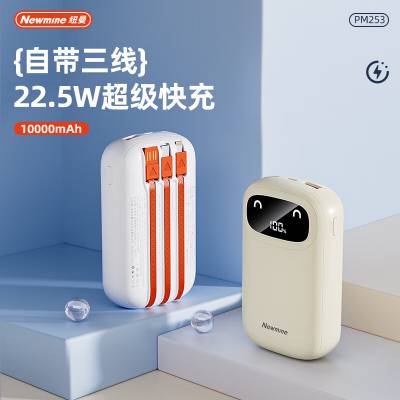 Ŧ PM253 Դ߳籦20000ʱСɱЯ˫22.5W/PD20W ɼ ӡˢlogo һ