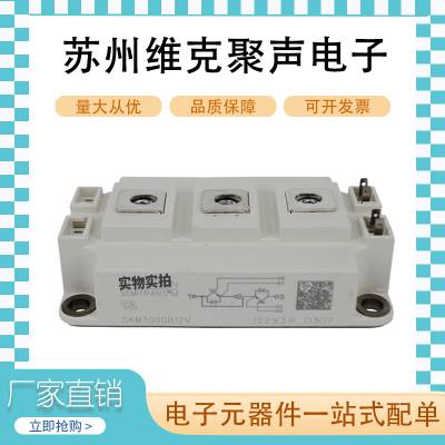 西门康 SKM300GB12V IGBT功率模块 电子元器件