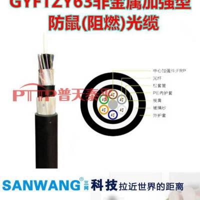 GYFTZY63光缆 GYFTZY63非金属型防鼠(阻燃)光缆