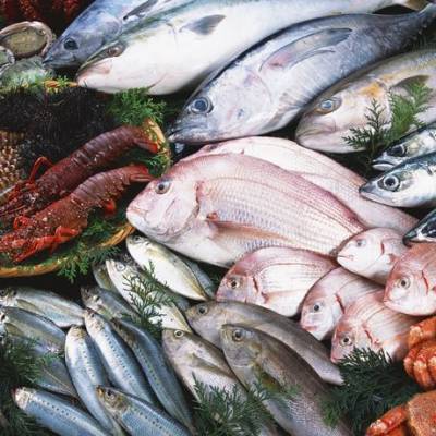 进口生猛海鲜冷冻海鲜水产等进出口清关报关货运付汇代理单证办理