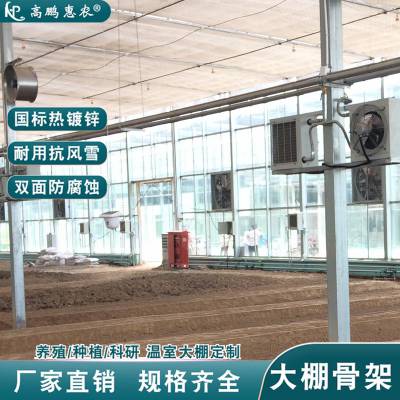 涿州市灵芝菇太阳能温室钢管依据地形设计棚型