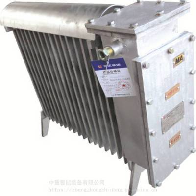 中重智能 矿用防爆电热取暖器RB-2000/127(A)