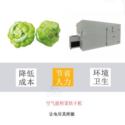 榨菜烘干机 儿菜烘烤箱 农副产品脱水 厂家批发可定制