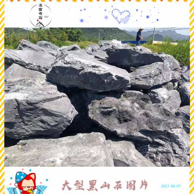 ɽʯӹ ӢҰɽʯ԰쾰زСþʯ