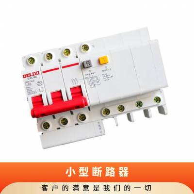 德力西空气开关电闸短路保护器1P2P家用总开63空开220v小型断路器