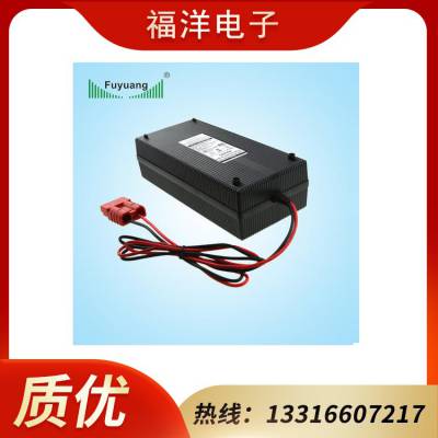  늳س ߴ29.4V2A늄܇ FY2902000