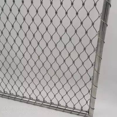 ¡ ۲ ֹ֯ ߿׹ﲻ