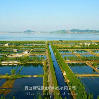 供应青啤原料水产养殖级啤酒酵母粉