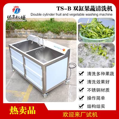 多功能气泡果蔬洗菜机商用果蔬清洗机厨房设备气泡洗菜机TS-B双缸果蔬清洗机