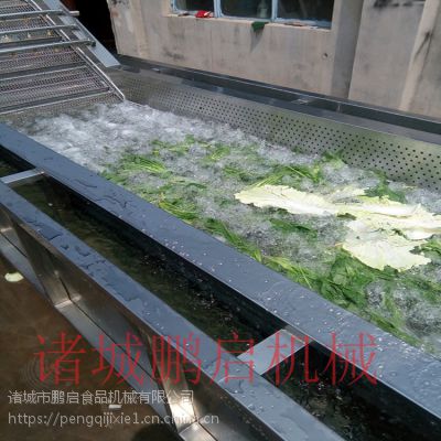 小型毛豆清洗机 毛豆加工设备青毛豆气泡清洗机