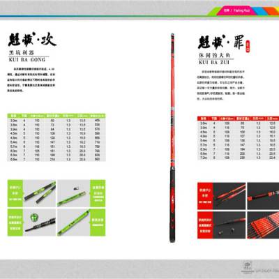 钓鱼王渔具有限公司-德州渔具专卖店