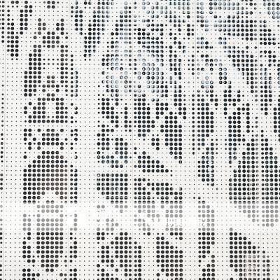 天悦白色冲孔铝单板 库房氟碳铝单板规格 穿洞树枝花纹铝板金属材料