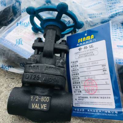 F316L͸ָѹ˿բSMZ11Y-150LB