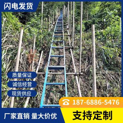 公路护坡 斜坡上料爬山虎 建筑工程机械提升机 水泥砂石运料机