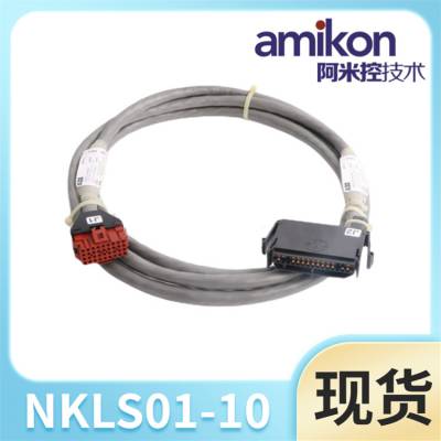 ʡ·ӿڵNKLS01-10ʡֱ