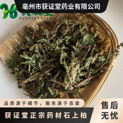 获证堂正宗药材石上柏 无硫中药材金龙草 原材料龙鳞草出售