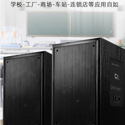 4G网络音柱（60W）