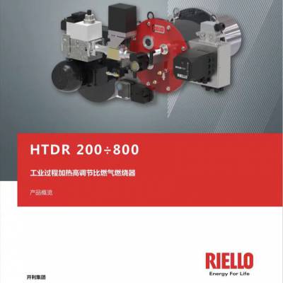 利雅路 燃烧机 HTDR200 高调节比燃烧器 30:1比例调节燃烧器