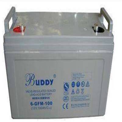 BUDDY6-FM-12ʽǦϵ12V12AHӦƿ