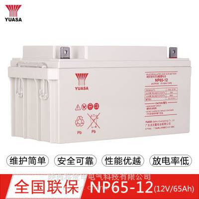 YUASANP65-12阀控密封式铅酸12V/65Ah/20HR UPS电源配套