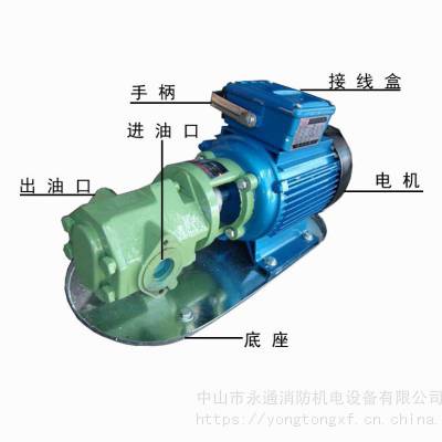 WCB30卧式电动输油泵 手提式输油泵