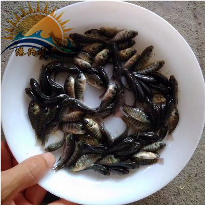ˮ޷ѡ޷޷ˮȫӦ Բٷ