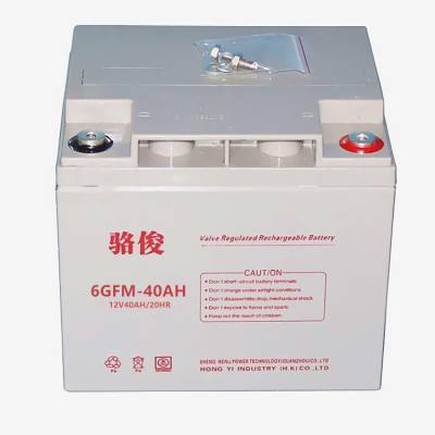 骆俊蓄电池6GFM-40铅酸免维护12v40ah厂家质保三年ups电源太阳能