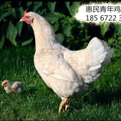 ҇ךuҪƷN ךuă(yu)c(din) ךum
