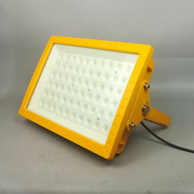 LED防爆隧道灯100W免维护节能顶灯石油化工厂房照明灯