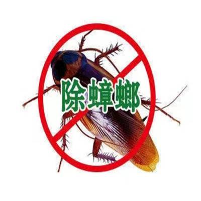 上海闵行区上门除虫 灭鼠 除蟑螂 除蚂蚁 除飞虫 除跳蚤