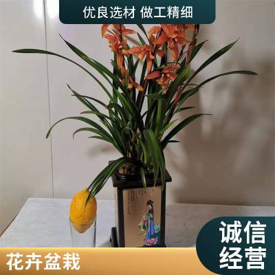 ǲҵ Ũ辰  ⻨ܰڷ