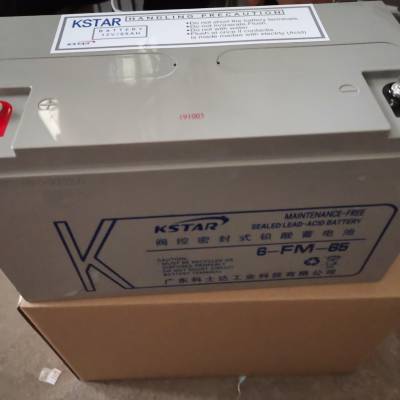 Ӧʿ6-FM-65 12V6***H UPS/EPS󱸵Դ Ǧᷧʽ