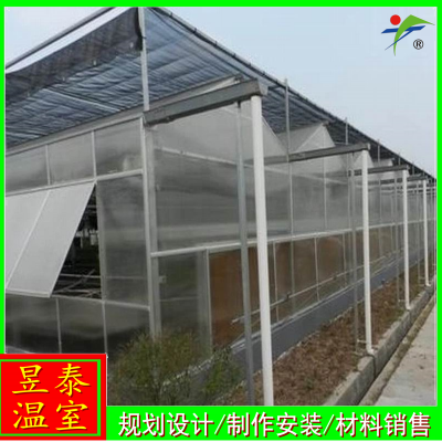 昱泰温室 钢制骨架蔬菜大棚 玻璃连栋温室 YTWSWL1873
