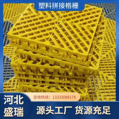 塑料拼接格栅 彩色格 栅板 洗车房 游泳中心铺设 支撑点多 承载能力强