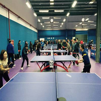 黑龙江 乒乓球馆照明设计 乒乓球馆LED灯产地 产地直销