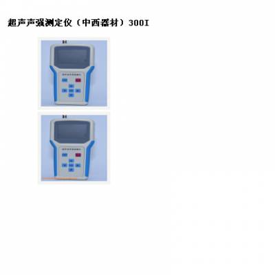 SYH供型号:300I库号：M392458声声测定仪