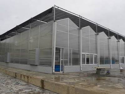 阳光板温室图纸造价-阳光板温室图纸-齐鑫温室阳光板大棚