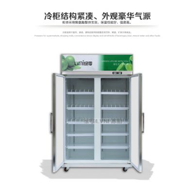 绿零大二门冷藏展示柜 SGZ-1000L2F冷藏保鲜柜 饮料陈列柜